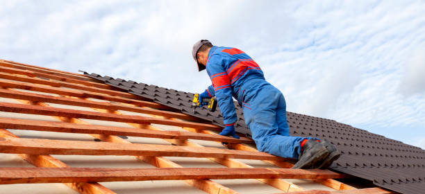 Best Roof Coating and Sealing  in Friona, TX