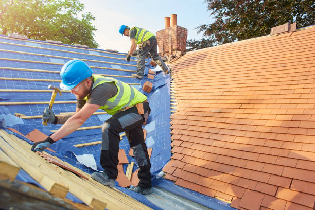 Best Gutter Installation and Repair  in Friona, TX